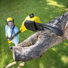  Chimayo, NM Tree Removal Pros