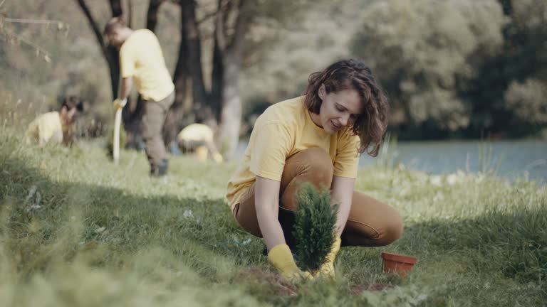 Best Lawn Watering Services  in Chimayo, NM